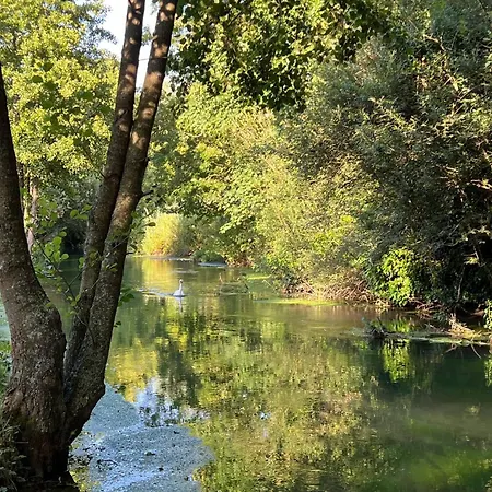 En Bord D'etang